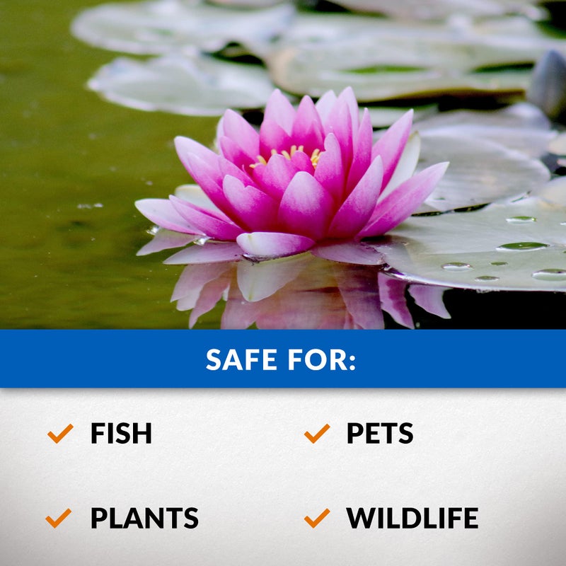 Crystal Clear CrystalClear Algae D-Solv Pond Algae Control, Fast-Acting EPA Registered Algaecide, Use in Fountains & Outdoor Ponds Containing Koi & Other Fish, Treats 46,080 Gallons, 1 Gallon - Image 4