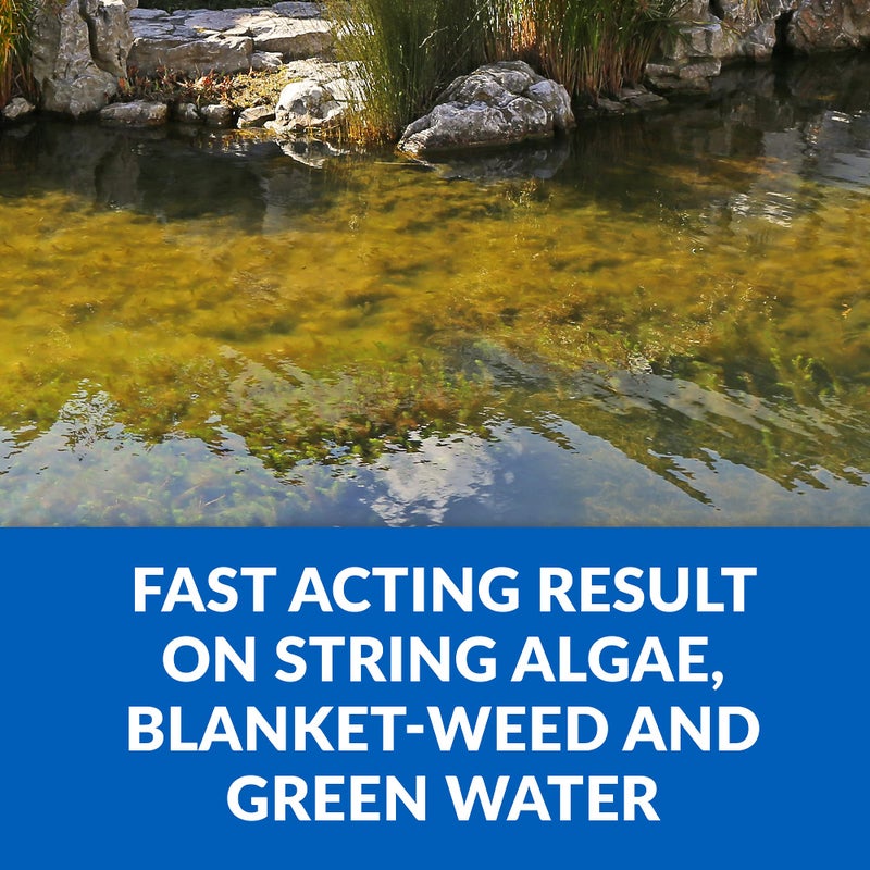 Crystal Clear CrystalClear Algae D-Solv Pond Algae Control, Fast-Acting EPA Registered Algaecide, Use in Fountains & Outdoor Ponds Containing Koi & Other Fish, Treats 46,080 Gallons, 1 Gallon - Image 3