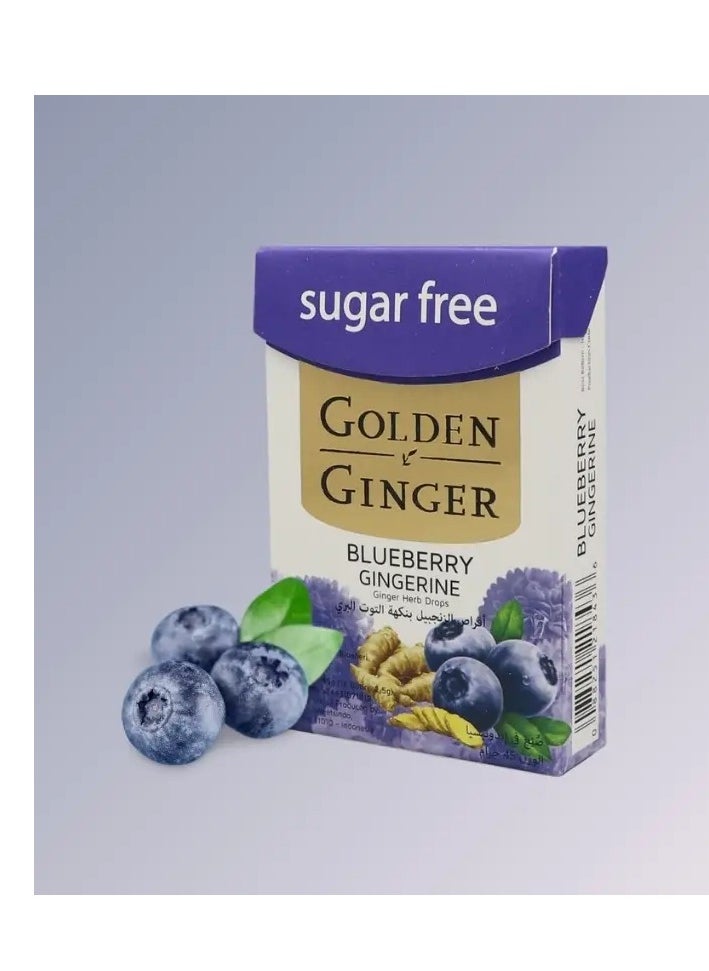 GOLDEN GINGER Cranberry Flavored Sugar-Free Ginger Lozenges Soothing and Moisturizing Throat Lozenges - 45g  - Image 1
