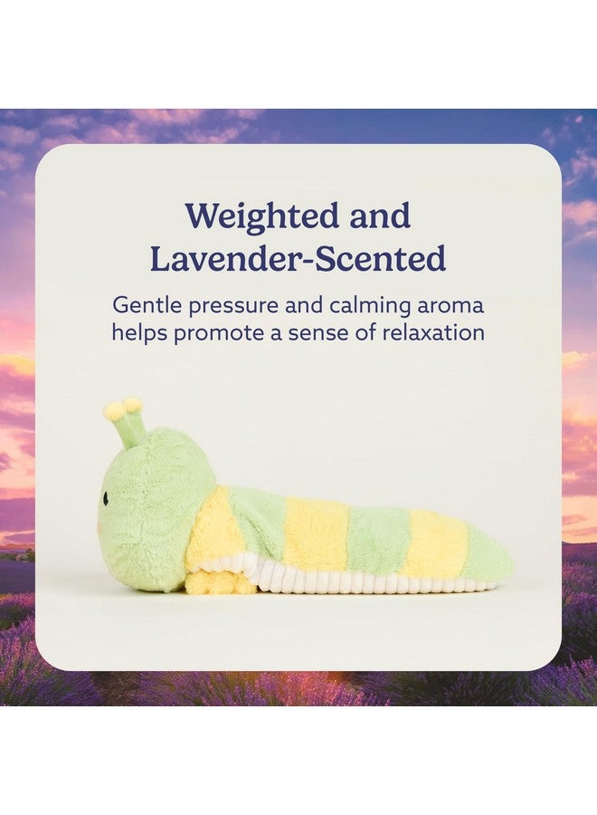 Warmies warmies Microwavable & Weighted Stuffed Animals, Caterpillar - Heated Stuffed Animal Plushie for Warmth & Comfort - Cute Soft Plush Toys for Adults & Children (Boys, Girls, Babies & Toddlers)  - Image 3