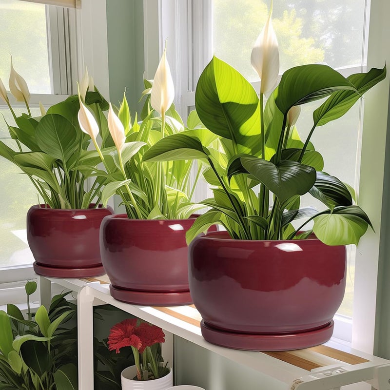 SQOWL 6 Inch Plant Pot - Ceramic Planter for Indoor Plants Outdoor, Round Planter with Drainage Hole and Saucer, Decorative Modern Small Flower Pots, Room Decor, Gifts for Plant Lovers, Red - Image 5