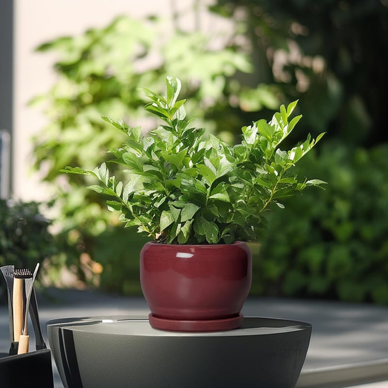 SQOWL 6 Inch Plant Pot - Ceramic Planter for Indoor Plants Outdoor, Round Planter with Drainage Hole and Saucer, Decorative Modern Small Flower Pots, Room Decor, Gifts for Plant Lovers, Red - Image 4