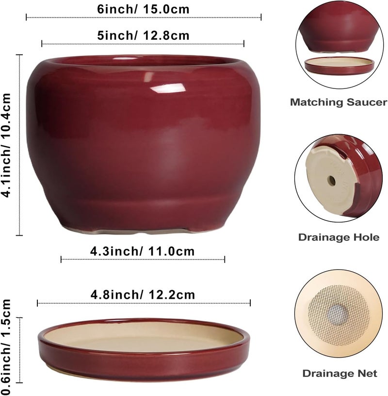 SQOWL 6 Inch Plant Pot - Ceramic Planter for Indoor Plants Outdoor, Round Planter with Drainage Hole and Saucer, Decorative Modern Small Flower Pots, Room Decor, Gifts for Plant Lovers, Red - Image 3