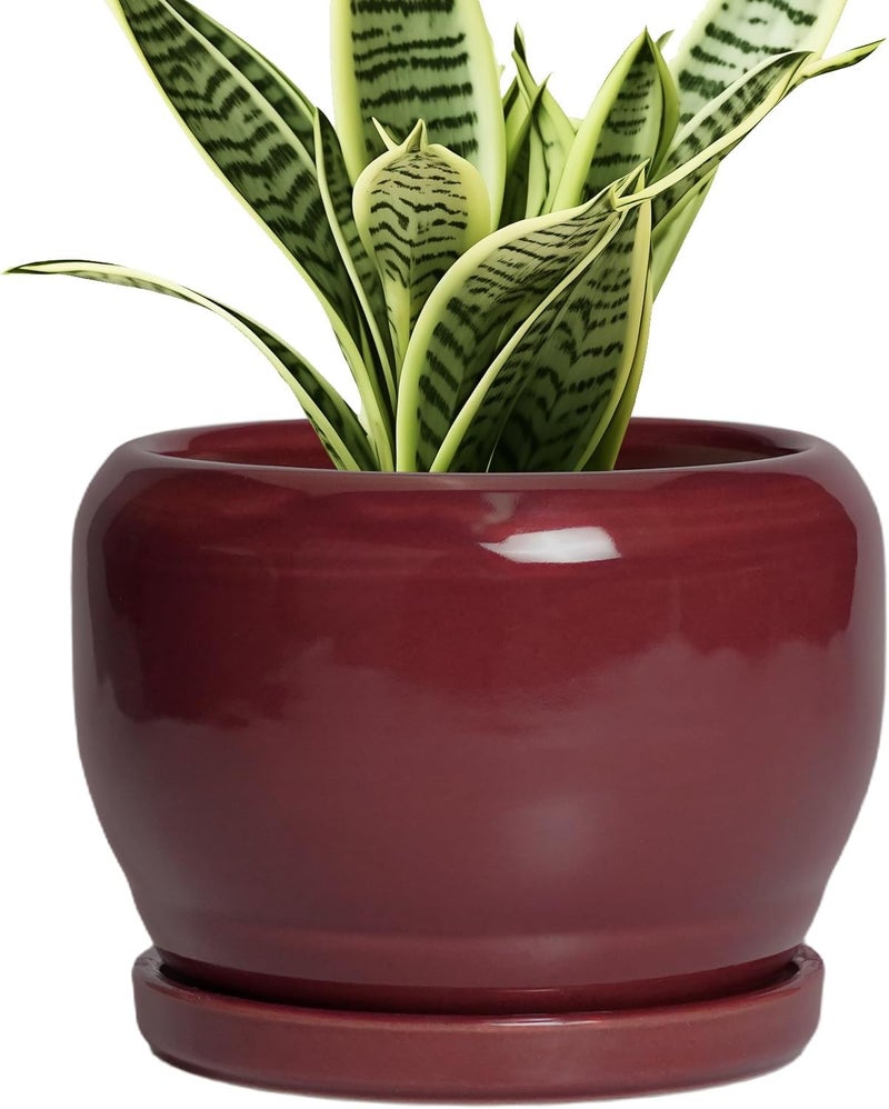 SQOWL 6 Inch Plant Pot - Ceramic Planter for Indoor Plants Outdoor, Round Planter with Drainage Hole and Saucer, Decorative Modern Small Flower Pots, Room Decor, Gifts for Plant Lovers, Red - Image 1