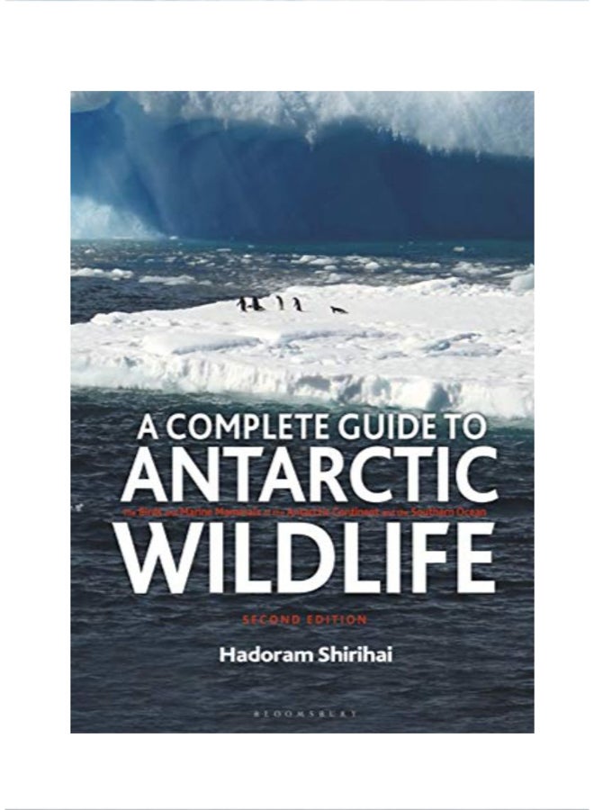 A Complete Guide To Antarctic Wildlife