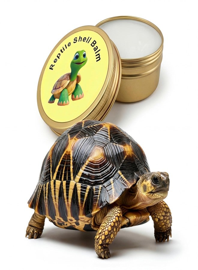 RONDURE 2.6 Oz Tortoise Shell Balm - Professional Dry, Cracked & Dull Shell Care Ointment & Conditioner for Sulcata, Russian & Hermann Tortoises - Natural Wax & Lanolin Formula - Image 4