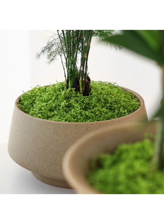 Simulation Moss Turf Bionic Artificial Fake Moss Micro Landscape Layout Ornaments Lawn Bonsai Bonsai Pavement Landscaping - Image 3