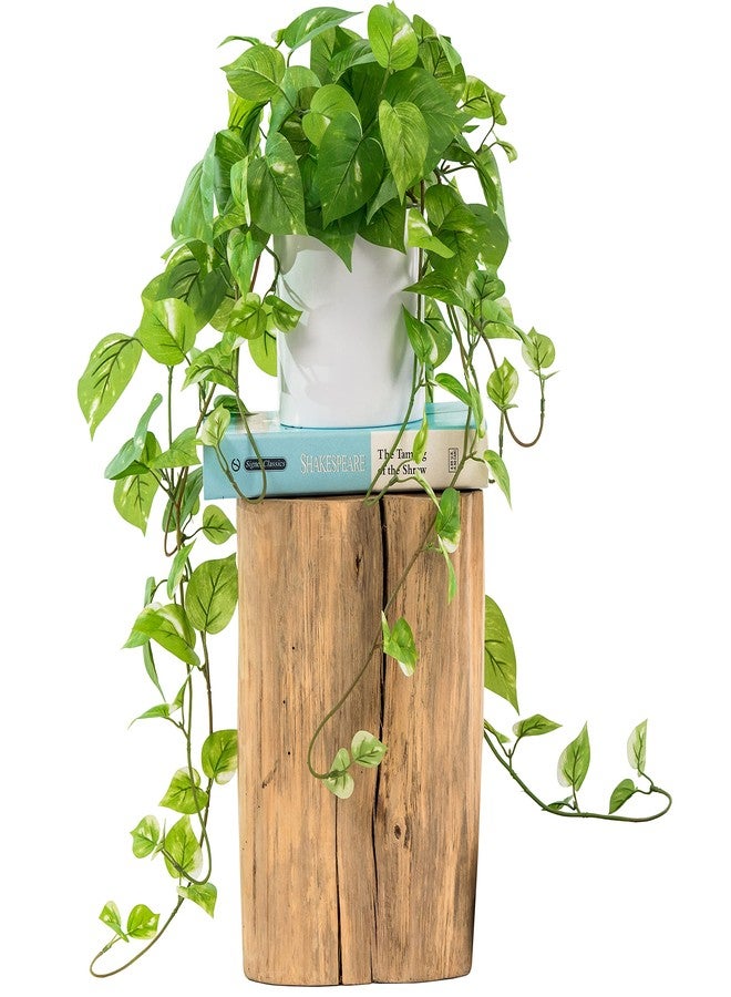 MY ROVALA Silk Plants for Home Decor Indoor in Pot Realistic Artificial Plants Fake Hanging Plants Faux Plants Indoor Fake Potted Plants Fake Plants for Shelves Bathroom Plants, Fake Pothos (Light Green) - Image 1