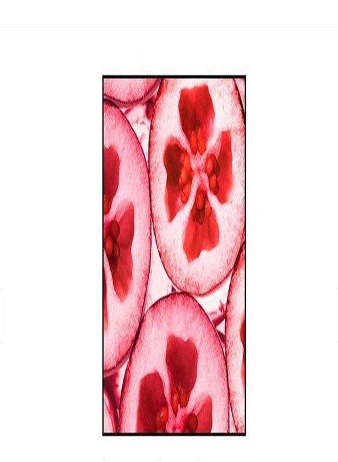 Gliss شامبو شوارزكوف غليس كور التام لون بيرفكتور 400 مل - Image 4