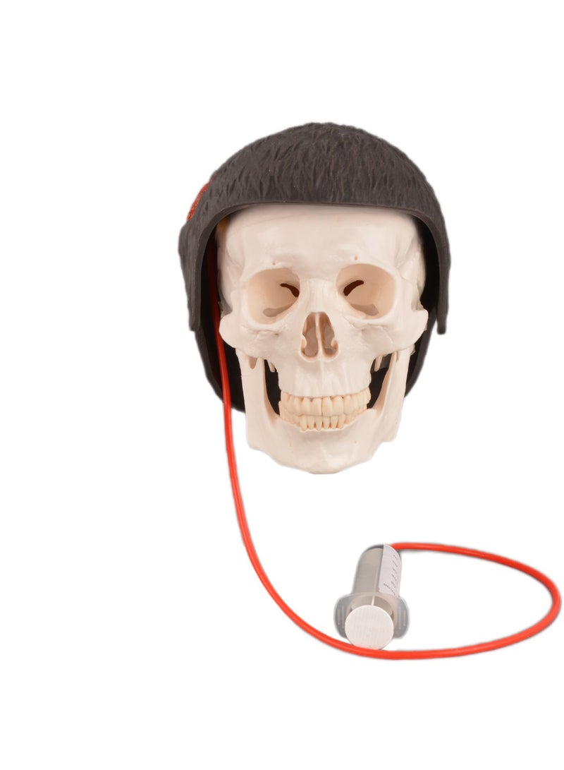 Medarchitect Wearable head wound care model, Halloween scalp model(skeleton model is excluded) - Image 1