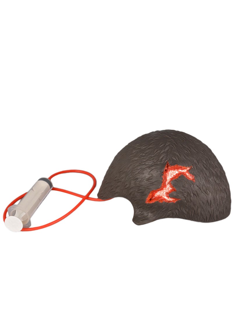 Medarchitect Wearable head wound care model, Halloween scalp model(skeleton model is excluded) - Image 2