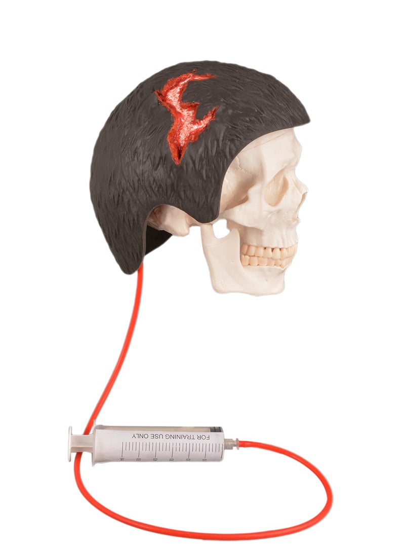 Medarchitect Wearable head wound care model, Halloween scalp model(skeleton model is excluded) - Image 3