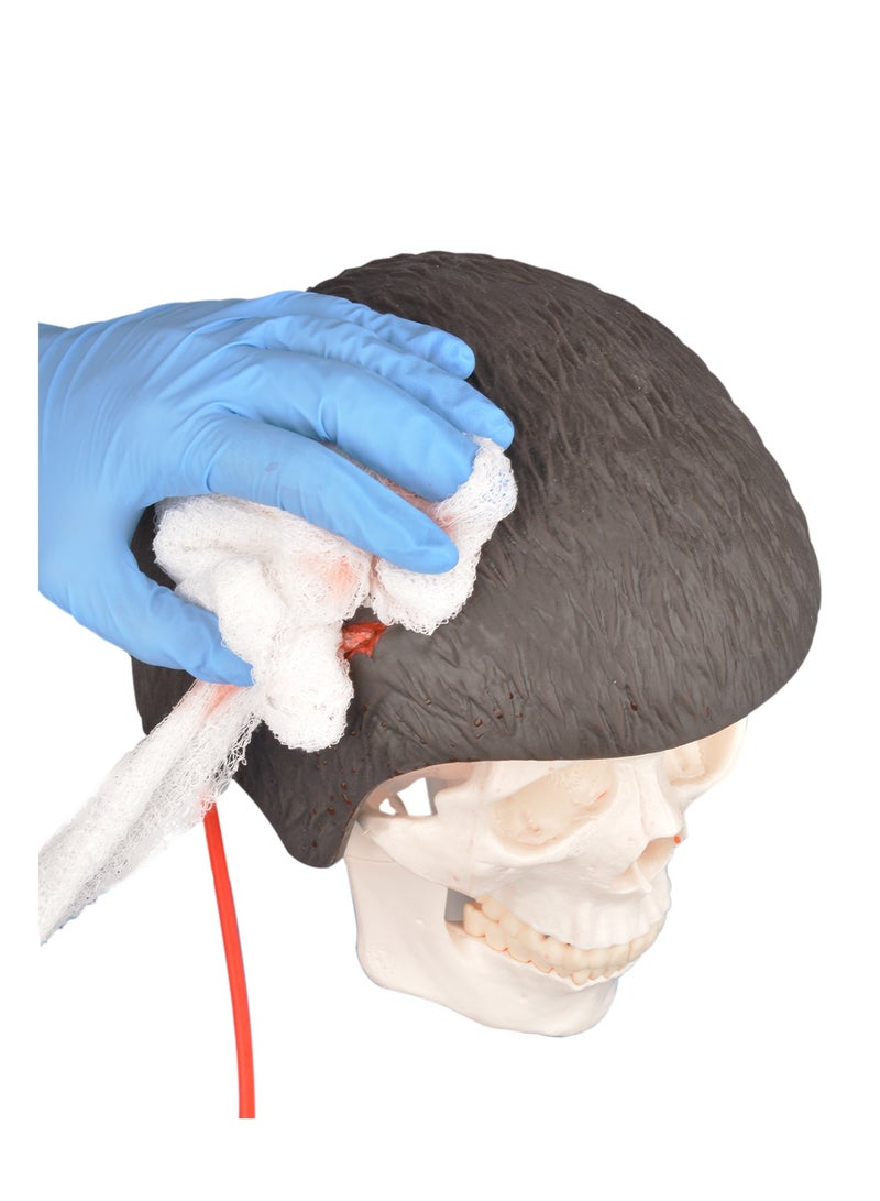Medarchitect Wearable head wound care model, Halloween scalp model(skeleton model is excluded) - Image 4
