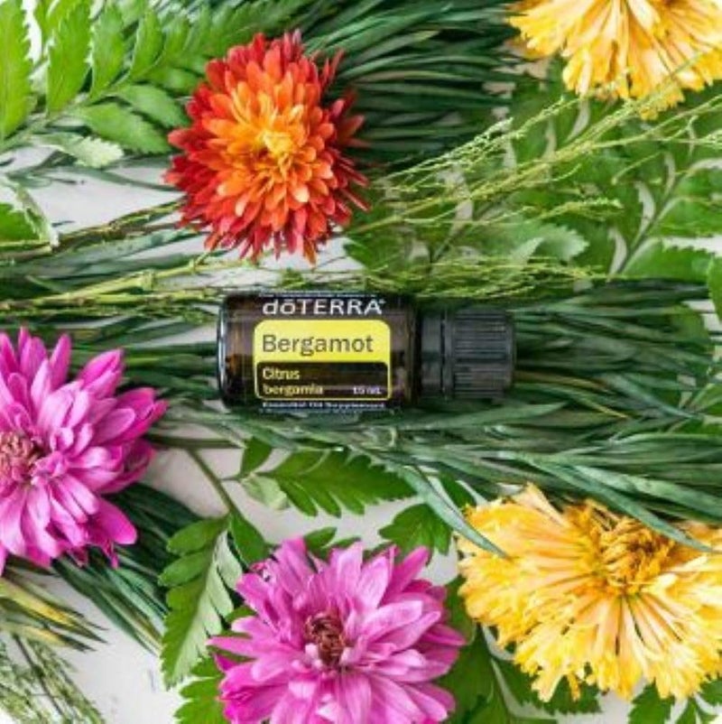 doTERRA - Bergamot Essential Oil - 15 mL - Image 1