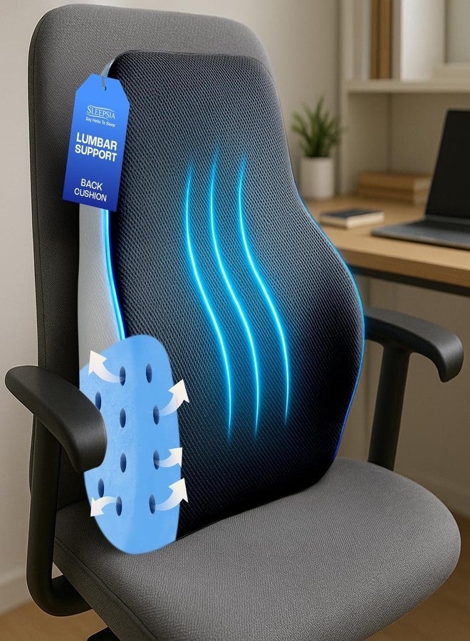 Sleepsia Back Support for Office Chair with 1 Year Warranty Lumbar Support Pillow for Office Chair, Back Pain, Car Seat, Memory Foam (Black/Grey Lumbar Back Support (Gel Ventilated)) - Image 1