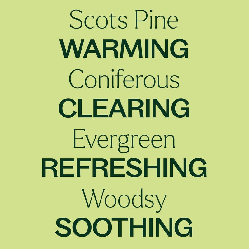 Plant Therapy Scots Pine Essential Oil 10 mL (1/3 oz) 100% Pure, Undiluted, Therapeutic Grade - Image 4