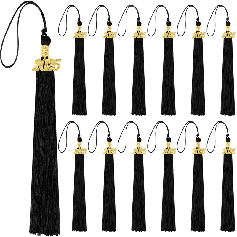 Dingion 12 Pieces 2025 Graduation Tassels Academic Accessories 2025 Classic Tassel Charm Accessories for DIY Craft Graduation Cap Ceremonies Party OrnamentBlack 