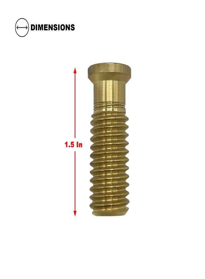 Poolzilla Pool Cover 1-5/16" Extended Brass Screw for Anchor - 25 Pack - Extra Long Universal Fit - Image 2