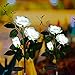 Anordsem Anordsem 2 Pack Solar Rose Flower Lights, Upgrade Flower Lights Outdoor, Waterproof Solar Garden Stake Lights,  - Image 2