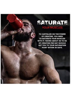 SIX STAR Creatine Powder Unflavored 400 g  - Image 5