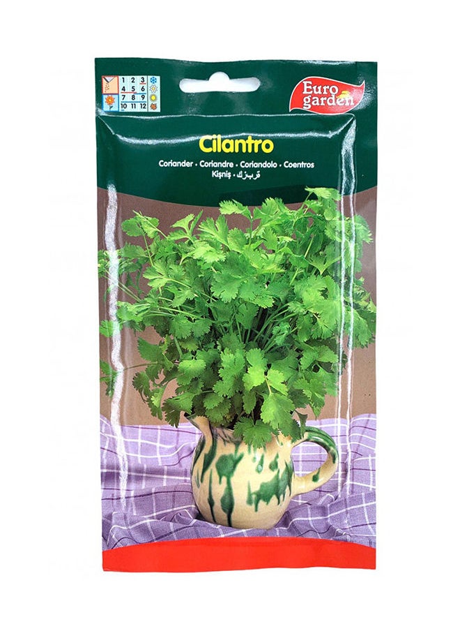 Euro Garden Euro Garden Coriander Seeds  - Image 1