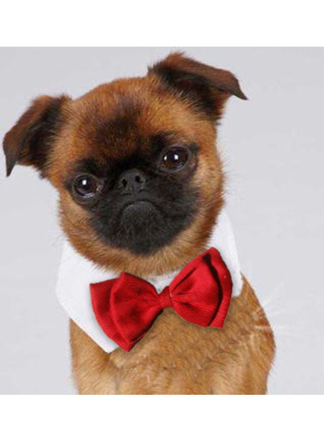 إسكدنيا طوق لطيف وقابل للتعديل بتصميم ربطة عنق بعقدة للحيوانات الأليفة أحمر 10 x 10 x 10سم - Image 2