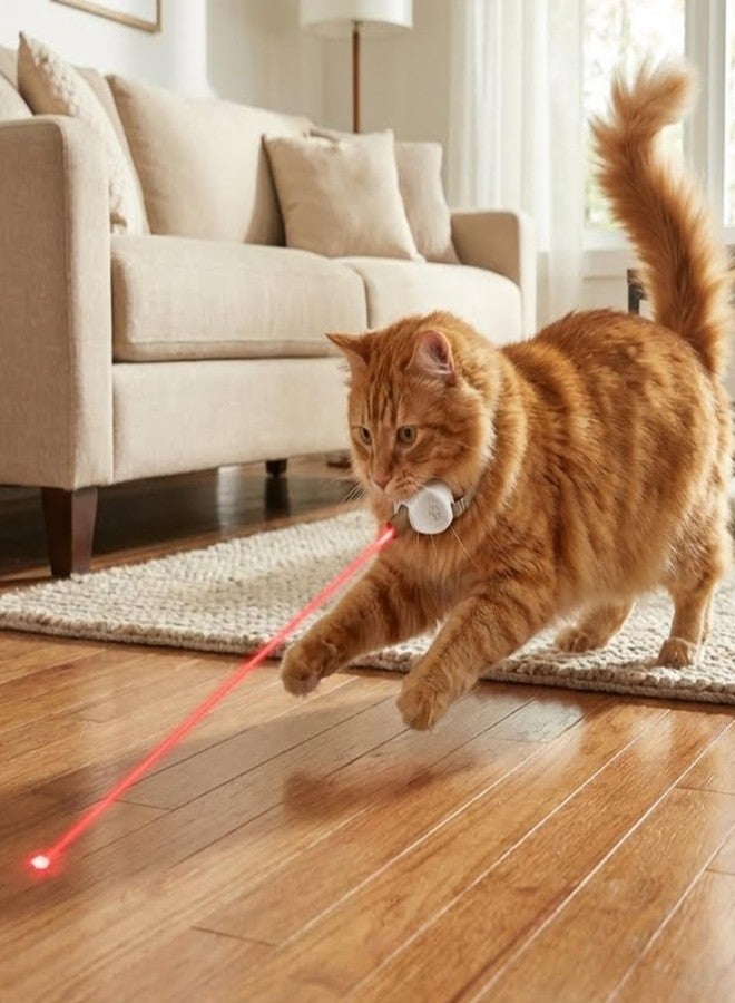 Walfront Cat Toys, Adjustable Fit 9.1-13.4"(23-34cm) Wide Beam Angle Brown Light-Up Collar, USB Rechargeable 2 Modes with Automatic Chasing, Playtime at Home for Energetic Cats, Fun Exercise - Image 5