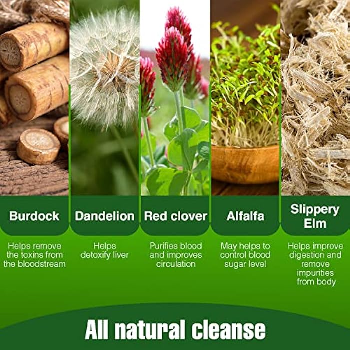 wellgenix Strip 5 Day Detox Cleanse - Complete Body Cleanse | Remove Toxins & Unwanted Impurities - Natural, Healthy Cleansing Support for Liver, Urinary Tract, Kidney, Digestive System - 40 Capsules - Image 3