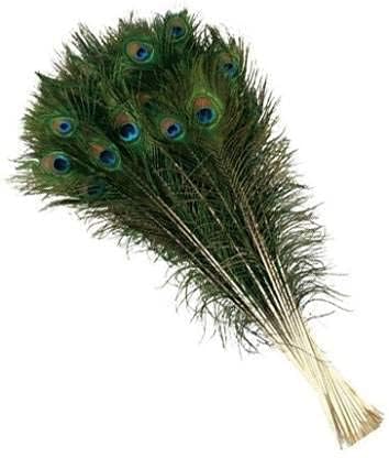 Achleshwar Mor Pankh Feather Pack | Peacock Feathers Set | Natural Decorative Craft Feathers Pack of 100 | Multicolor | 10–12 Inch - Image 2