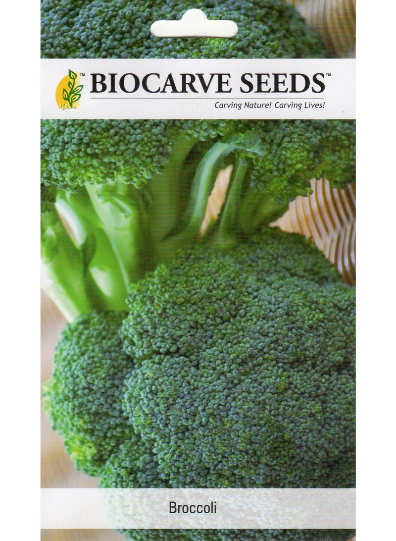 BIOCARVE SEEDS Broccoli seeds - Image 1