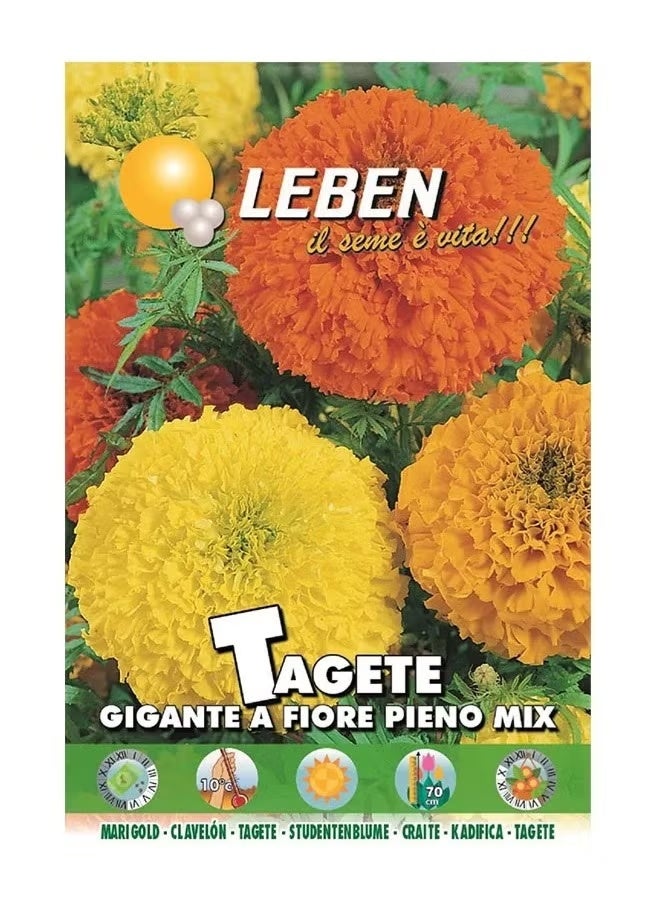 Leben Marigold (Tagete Gigante a Fiore Pieno Mix) Premium Quality Seeds Made in Italy