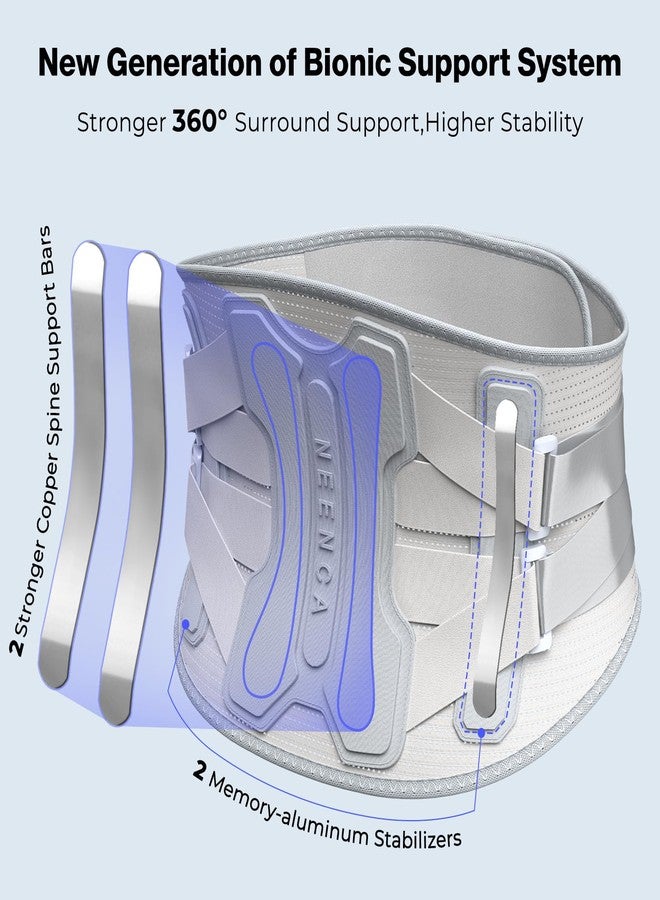 NEENCA Back Brace for Lower Back Pain Relief with Bionic Support System, Lumbar Support Belt for Women&Men with Lumbar Pad, Soft Breathable 3D Knit Fabric for Herniated Disc, Sciatica, Scoliosis... - Image 3