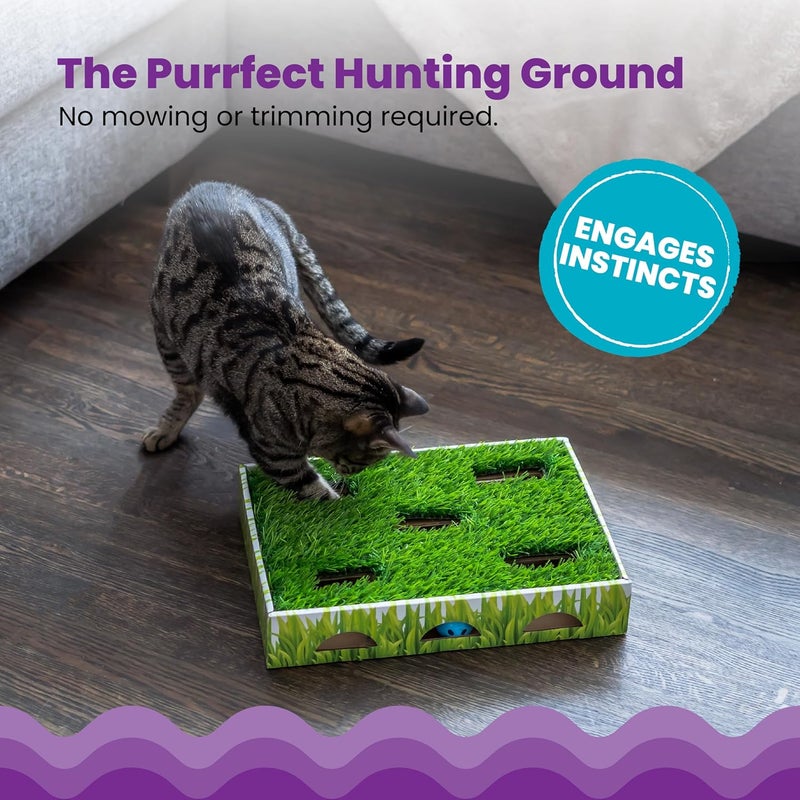 Catstages Grass Patch Hunting Box Cat Toy - Image 4