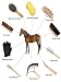 Ueemph Horse Grooming Kit (12-Piece): Brushes, Storage Bag, Sweat Scraper, Mane Comb, Grooming Gloves, Horse Gift for Girls (Black) - Image 3