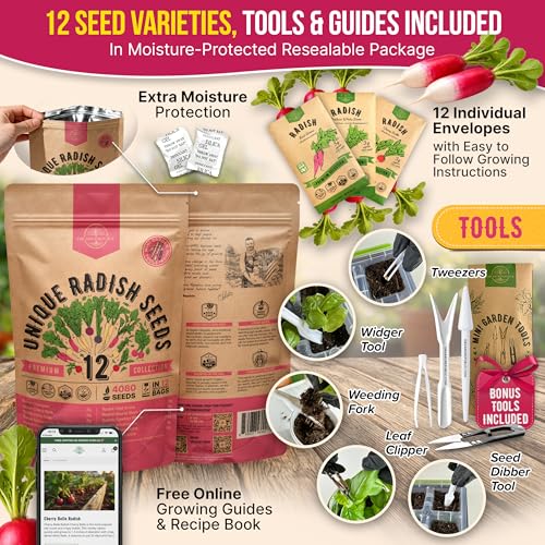 Organo Republic 12 Radish Seeds Variety Pack for Indoor & Outdoors 2400+ Heirloom Non-GMO Radish Garden Seeds: Daikon, Cherry Belle, French, Breakfast, Champion, Purple, Watermelon Radishes Seeds - Image 3