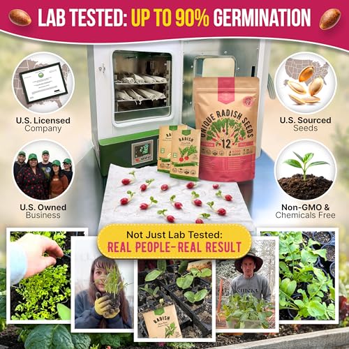 Organo Republic 12 Radish Seeds Variety Pack for Indoor & Outdoors 2400+ Heirloom Non-GMO Radish Garden Seeds: Daikon, Cherry Belle, French, Breakfast, Champion, Purple, Watermelon Radishes Seeds - Image 2