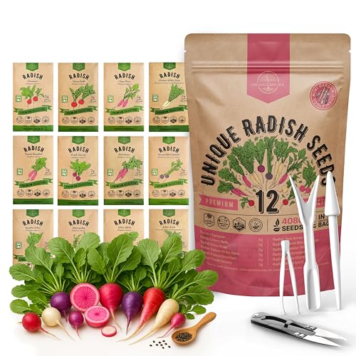 Organo Republic 12 Radish Seeds Variety Pack for Indoor & Outdoors 2400+ Heirloom Non-GMO Radish Garden Seeds: Daikon, Cherry Belle, French, Breakfast, Champion, Purple, Watermelon Radishes Seeds - Image 1