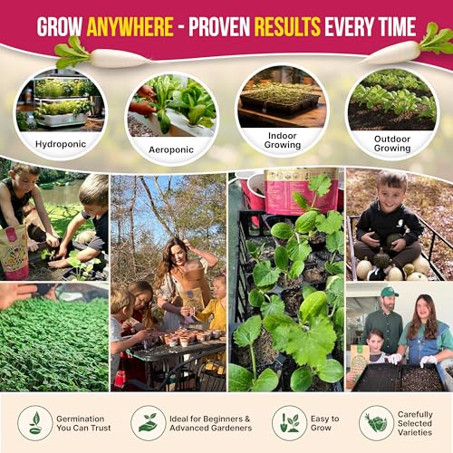 Organo Republic 12 Radish Seeds Variety Pack for Indoor & Outdoors 2400+ Heirloom Non-GMO Radish Garden Seeds: Daikon, Cherry Belle, French, Breakfast, Champion, Purple, Watermelon Radishes Seeds - Image 5