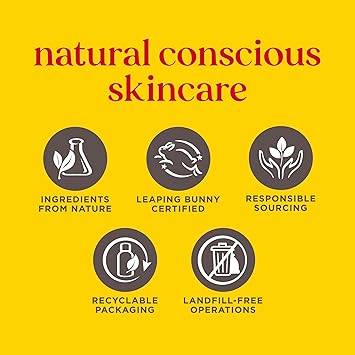 Burt's Bees Burts Bees Lip Balm Birthday Cake Moisturising Lip Balm With Beeswax and Vitamin E 100 Natural Origin 425g - Image 5