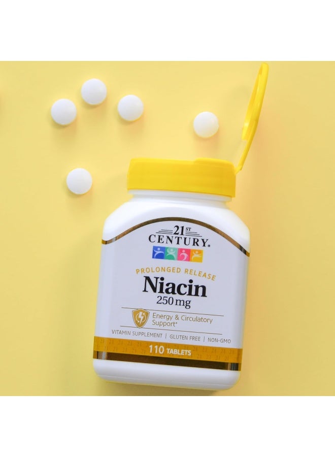 21st Century Niacin Vitamin B3 Prolonged Release 250 mg - 110 Tablets - Image 4