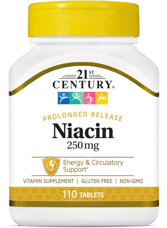 21st Century Niacin Vitamin B3 Prolonged Release 250 mg - 110 Tablets - Image 1