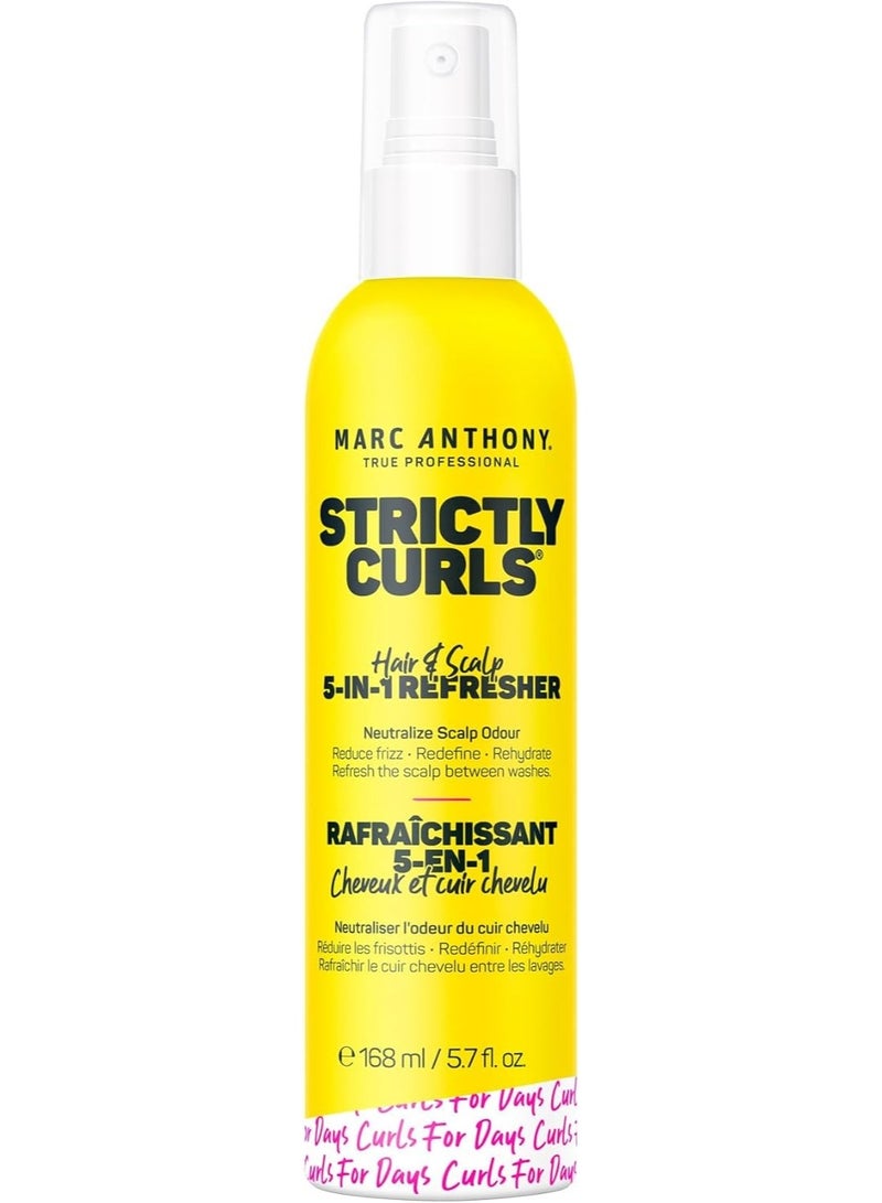 مارك أنتوني مثبت الشعر Strictly Curls للشعر المجعد، منعش 5 في 1 - تركيبة مغذية لفروة رأس وشعر رطب ومنتعش وصحي من الجذور إلى الأطراف - 5.7 أونصة سائلة - Image 1
