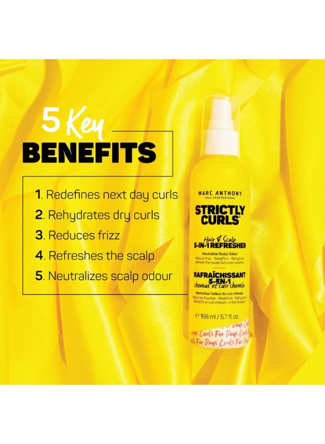 مارك أنتوني مثبت الشعر Strictly Curls للشعر المجعد، منعش 5 في 1 - تركيبة مغذية لفروة رأس وشعر رطب ومنتعش وصحي من الجذور إلى الأطراف - 5.7 أونصة سائلة - Image 2