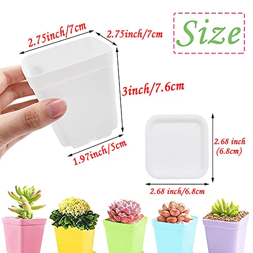 Haawooky 48 PCS 3 Inch Colorful Plastic Plant Pot,Plastic Square Nursery Pots,Seedling Nursery Pots with Saucers for Garden,Home,Office,Balcony Decor,Garden Gifts - Image 2