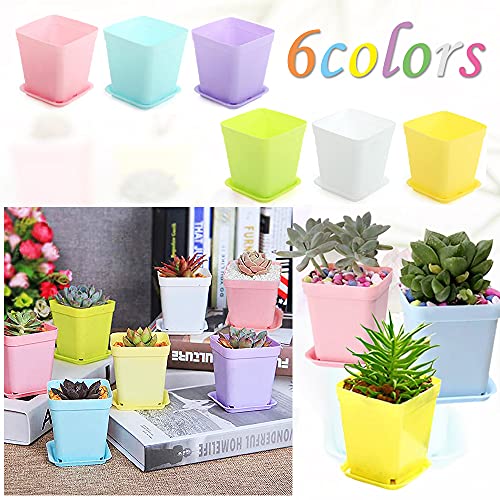 Haawooky 48 PCS 3 Inch Colorful Plastic Plant Pot,Plastic Square Nursery Pots,Seedling Nursery Pots with Saucers for Garden,Home,Office,Balcony Decor,Garden Gifts - Image 4