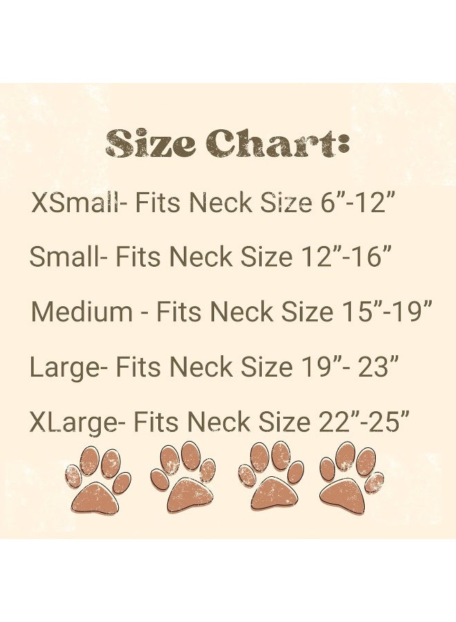 Dog Bandana Pregnancy Announcement Big Brother Baby Reveal Oatmeal Cream Minimal Neutral Color Announcement to Family (Large) - Image 5