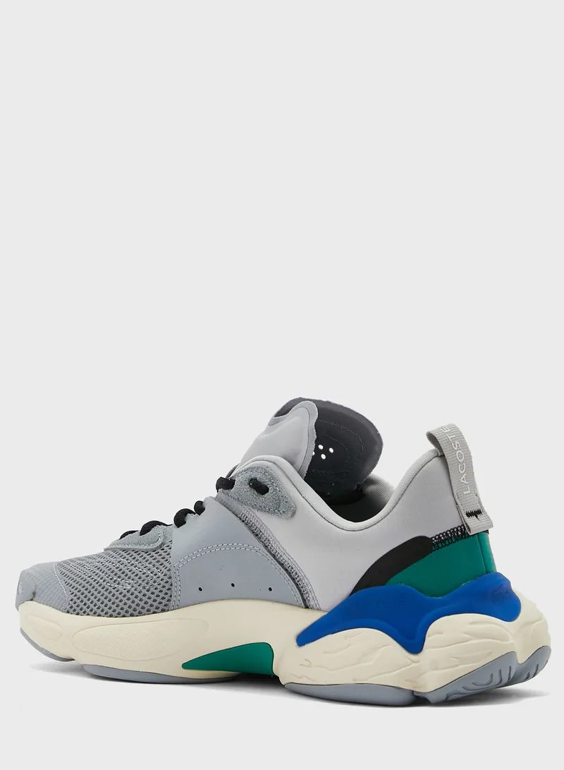 LACOSTE Casual Low Top Sneakers