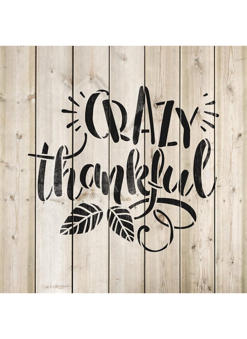 Stencil Revolution - Crazy Thankful Stencil Template for Walls and Crafts Reusable Stencils for Painting in Small Large Sizes - Image 1