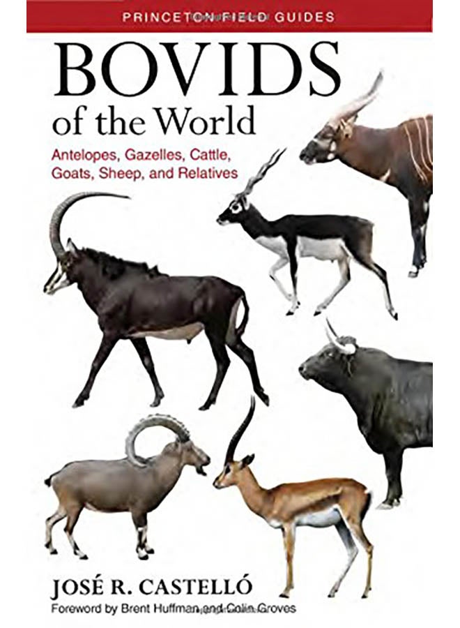 Bovids of the World: Antelopes, Gazelles, Cattle, Goats, Sheep, and Relatives