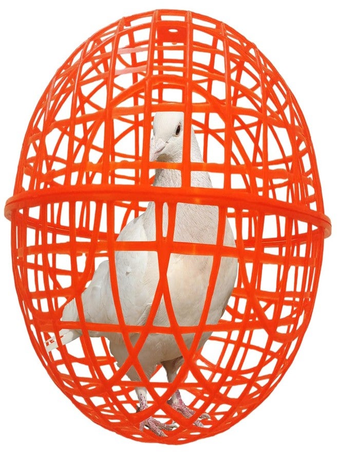 CalorMixs 11" Ball-Shaped Movable Pigeon Chick Coop, Little Rabbit Duck Guinea Pig Safe Walking Net,Preventing Dog Bites, Predation by Eagles Wolves Cats Eagles, Pet t Safety Cage - Image 1